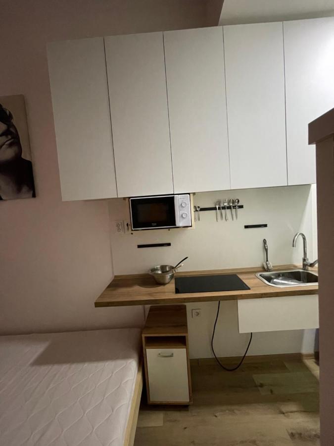 Red&Black Apartment City Centr, Na Hradbach 118 俄斯特拉发 外观 照片